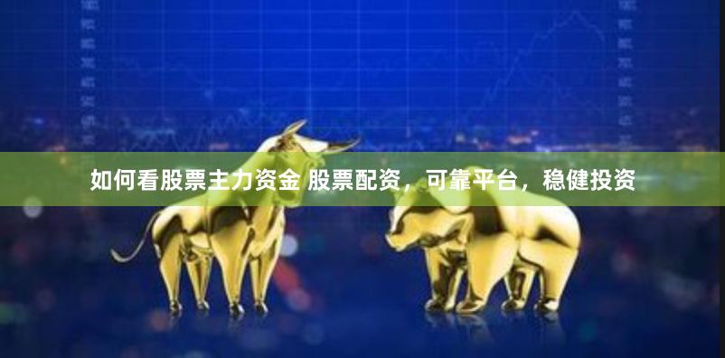 如何看股票主力资金 股票配资，可靠平台，稳健投资