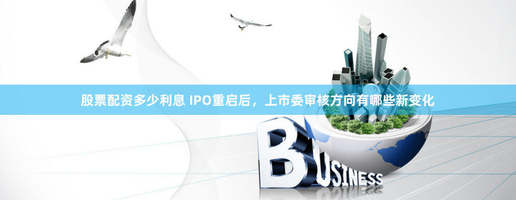 股票配资多少利息 IPO重启后，上市委审核方向有哪些新变化